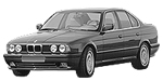 BMW E34 P2451 Fault Code